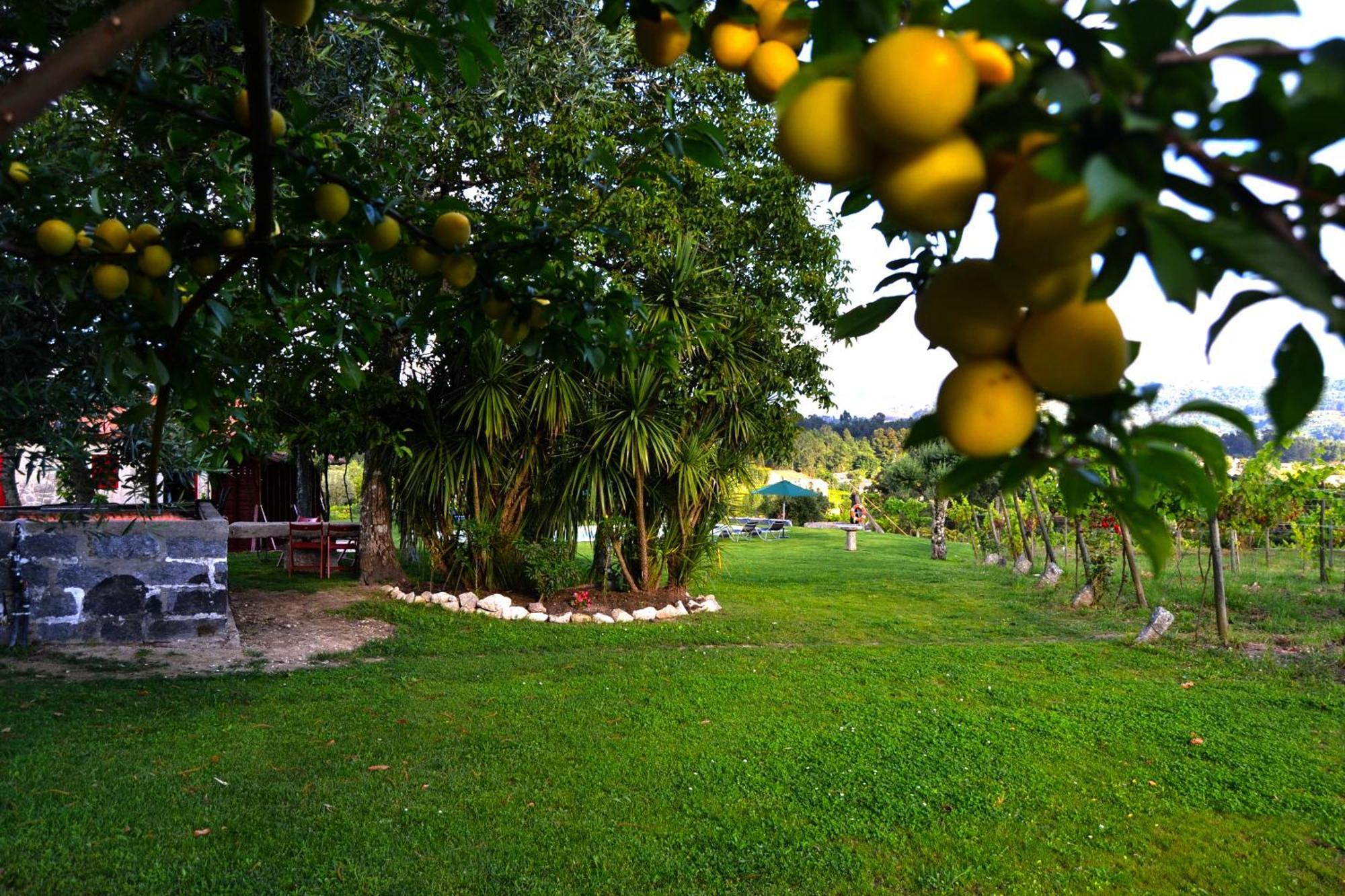 Gasthaus Quinta Do Olival Arcos de Valdevez Exterior foto